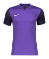 Nike Dri-FIT Trophy 5 Trikot Lila F547 - lila