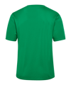 Hummel Trikot Grün F6235 - gruen