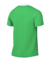 Nike Academy Pro 24 Trainingsshirt Grün Weiss F329 - gruen