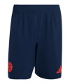 adidas FC Bayern München Tiro Travel Short Blau - blau