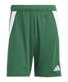 adidas Tiro 24 Short Grün Weiss - gruen