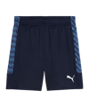 PUMA teamLIGA26 Training Short Blau F06 - blau
