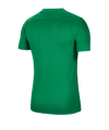 Nike Park VII Trikot kurzarm Kids Grün F302 - gruen