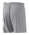 adidas Fortore 23 Short Grau Weiss - grau