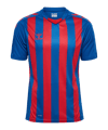 Hummel hmlCore XK Striped Trikot Blau F7358 - blau