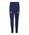 adidas FC Bayern München Tiro Travel Hose Blau - blau