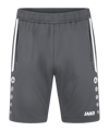 JAKO Allround Trainingsshort Grau F820 - grau