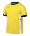 Nike Academy 25 Trainingshirt Gelb F719 - gelb
