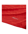 PUMA teamFINAL26 Knit Trikot Rot F01 - rot