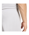 adidas Entrada 26 Short Grau - grau