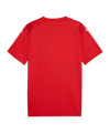 PUMA teamULTIMATE Trikot Rot F01 - rot