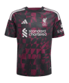 adidas FC Liverpool Trikot 3rd 2026/2027 Kids Schwarz - schwarz