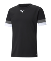 PUMA teamRISE Trikot Schwarz F03 - schwarz