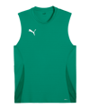 PUMA TeamGoal Trikot Grün F05 - gruen