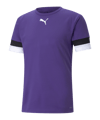PUMA teamRISE Trikot Lila F10 - lila