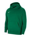 Nike Park 20 Fleece Hoody | Grün Weiss F302 - gruen