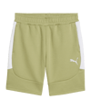 PUMA teamEVOSTRIPE Short Grün F40 - gruen