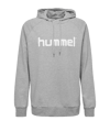Hummel Cotton Logo Hoody F2006 | grau - grau