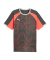 PUMA Individualliga Graphic Trikot Grau F10 - grau