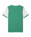 PUMA teamFINAL26 Knit Trikot Grün F05 - gruen