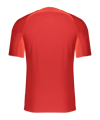 Nike Dri-FIT ADV Vapor 4 Trikot Rot F657 - rot