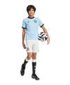 adidas DFB Deutschland 125th Anniversary Torwarttrikot Kids Blau - blau