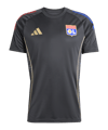 adidas Olympique Lyon Trainingsshirt Grau - grau