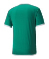 PUMA teamLIGA Trikot Grün F05 - gruen