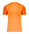 Nike Trophy V Trikot Orange F819 - orange