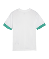 PUMA teamGOAL Matchday Trikot Kids Weiss Grün F15 - weiss