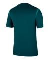 Nike Nigeria Trikot Home 2025/2026 Grün F483 - gruen