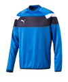 PUMA Spirit II Training Sweatshirt Blau Weiss F02 - blau