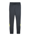 PUMA KING Pro Training Pant Grau Grün F05 - grau