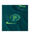 Nike Nigeria Trikot Home 2025/2026 Grün F483 - gruen