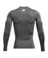 Under Armour Baselayer HG Comp Longlseeve Underwear Longseeve Grau F025 - grau