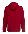 adidas Entrada 22 Allwetterjacke | Rot - rot