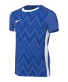 Nike Challenge V Trikot Kids Blau Weiss F463 - blau