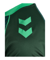 hummel SV Werder Bremen Pre Game Trikot 2026/2027 Grün F6228 - gruen