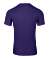 Nike Park VIII Trikot Lila F547 - lila