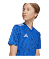 adidas Team Icon 25 Trikot Kids Blau - blau