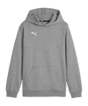PUMA teamGOAL Casuals Hoody Kids Grau F33 
