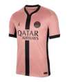 Jordan Paris St. Germain Trikot UCL 2024/2025 Pink F686 - rosa