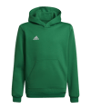 adidas Entrada 22 Hoody | Grün - gruen