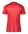 Nike SC Freiburg Trikot Europapokal 2025/2026 Rot F657 - rot