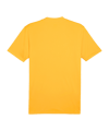 PUMA teamGLORY Trikot Orange Schwarz F61 - orange