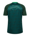 hummel SV Werder Bremen Pre Game Trikot 2026/2027 Grün F6228 - gruen