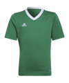 adidas Entrada 22 Trikot Kids Grün - gruen