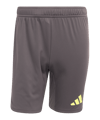 adidas Tiro 25 Pro Torwartshort Grau 