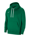 Nike Park 20 Fleece Hoody Grün Weiss F302 - gruen