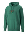 PUMA DOWNTOWN Graphic Hoody Grün F37